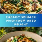 Spinach Mushroom Orzo Recipe
