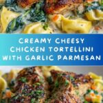 Cheesy Garlic Parmesan Chicken Tortellini with Spinach in Creamy Sauce Recipe