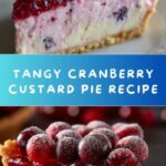 Cranberry Custard Pie Recipe