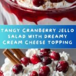 Cranberry Jello Salad with Cream Cheese Topping Recipe