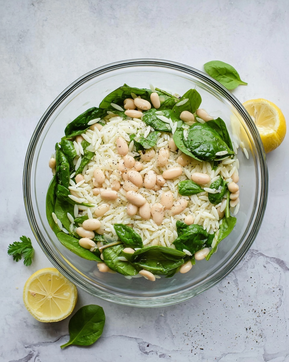 Spinach Orzo Salad with White Beans Recipe - Recipe Image