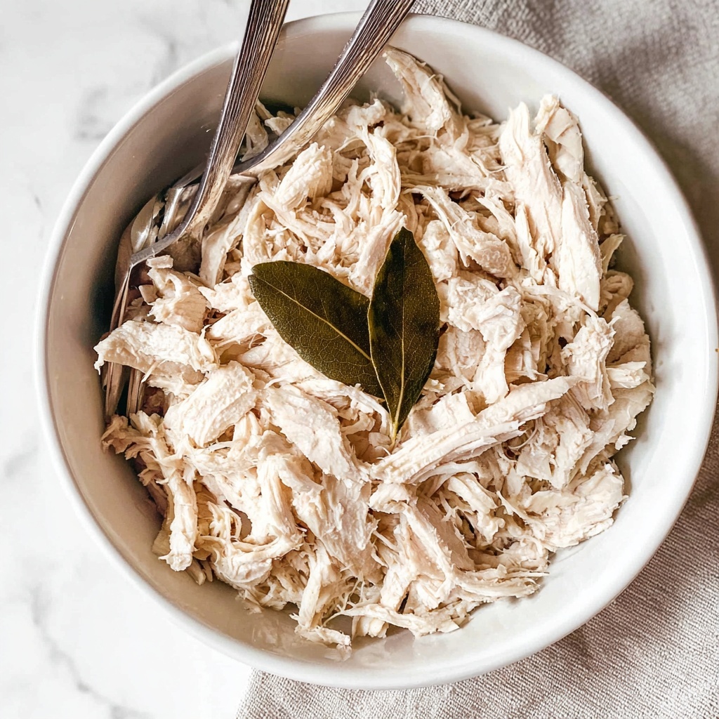 Easy Shredded Chicken Recipe - Recipe Image